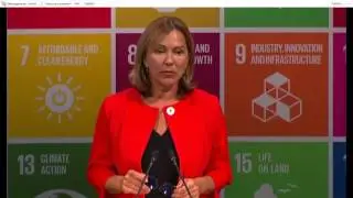 UN Partnership Exchange 2017 (1)
