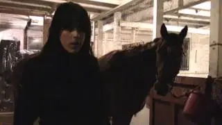 Your Horse doesn't need a Blanket or a Stall
