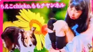楽しい配信🤩🤩🤩🤩