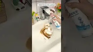 🔥Multi Purpose Pipe Foam Cleaner Spray for Drains & Sinks #3290 @sovorsgadget
