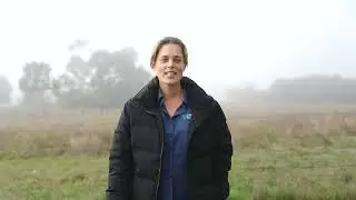 Laminitis Prevention & Management with Missy's Bucket
