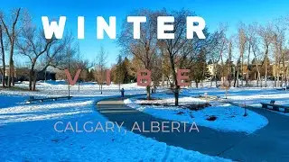 Canada Winter Vibe #elvin #snow #canadasnow #winter #vibes #albertaviews