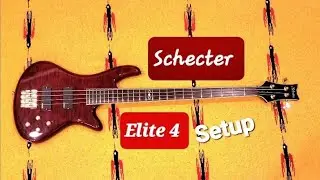 НАСТРОЙКА SCHECTER ELITE 4
