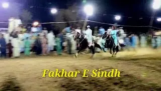 Fakhar E Sindh Horse 😇 | Night Jalsa 🌙 | Horse Lover &hearts;️