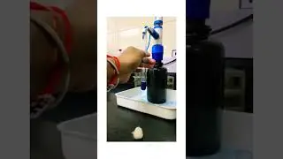 MBRT TEST #shortvideo #shorts #short #dairy #testing #amul #milk #bacteria #milkshake #testingtools