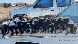South Texas Private Property Duck Hunt!! (RINGNECK SMACKDOWN)