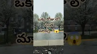 Nature magic అంటే ఇదే !🌨️#Transformation!#wich one do you like 🤍🤍💚💚