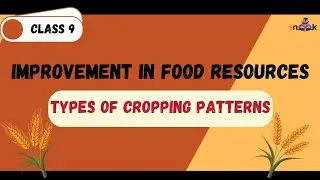 Types of Cropping Patterns : Improvement in Food Resources / Class 9 Biology