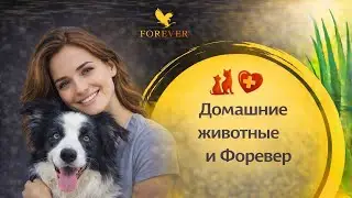 Применение продукции бренда Форевер на животных. Продуктовый час. Наталья Битюкова. 28 мар. 2025 г.