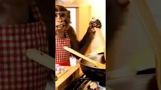 monkey vlog #dailyvlog #vlog #vlogger #trending #shortvideo #travelvlog #monkey #ai #aiart #viral