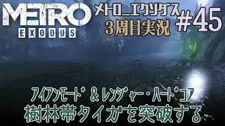 #45【メトロ エクソダス】ミス無しチャプタークリアを目指す…ｱｲｱﾝﾓｰﾄﾞ&ﾚﾝｼﾞｬｰﾊｰﾄﾞｺｱ【Metro Exodus:NG+2】