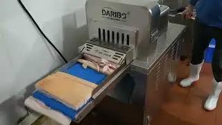 DRB-QK300L Frozen Meat Slices/Cubes Cutter#shorts