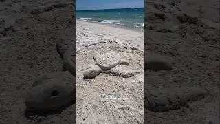 Sculpting a sea turtle🐢 #howto #sand #sandcastle #tutorial #turtle #sandsculpture #diy #beach