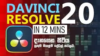 Davinci Resolve 20 for NOOBS ( Edit like a PRO in 12minutes ) in Sinhala 2025