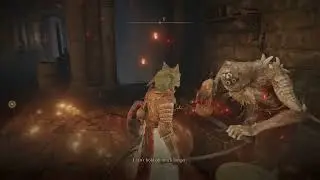 Elden Ring - Talking to Hewg and Roderika after the Erdtree burns (Dialogue)