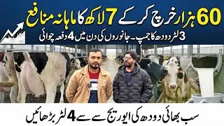 4 liter milk jump in cattle II Millions profit in farming II 4 times milking in dairy farming 