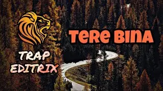 Tere Bina - Argenil || EDITRIX || Trap Mix