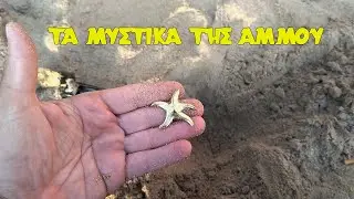 Beach Hunt : Τα μυστικά της άμμου!