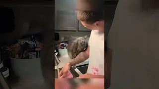 The Bond Between Humans and Cats #cat #funny #animals#funnycats #pets #shorts
