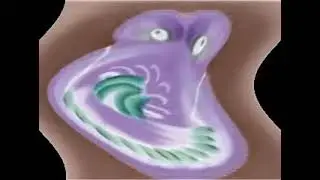 zoopals in j major 5