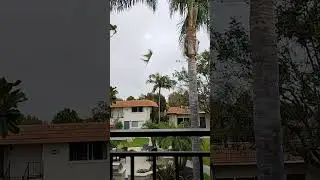 New Jersey Jet Paper Plane Flying Far Distance