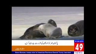 jarri haider Live Stream
