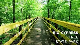 BIG CYPRESS TREE STATE PARK - BOARDWALK TRAIL