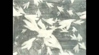 It Was All A Bit Black & White - Birds