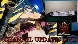 The Steel Mindset LIVE Channel Updates-Path to Destruction Part 2