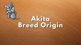 Akita   Breed Origin