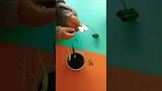 Proyectos sencillos de electrónica básica 