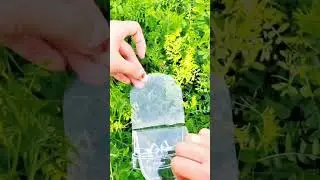 Bring the nature home :) Best mom-baby outdoor activities! #flowerpicking #baby #babyactivities