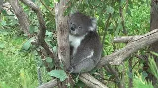 Australia - 2023 - part 4  4K