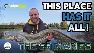 STUNNING Fishery & Lodges in West Norfolk - Fendick's Fishery SB Diaries