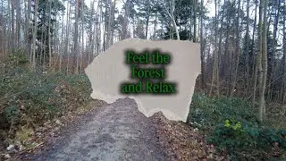 Forest Escape: Entspannen & Genießen