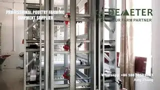 Fully auto H type layer chicken cage for poultry farm from Demeter Machinery