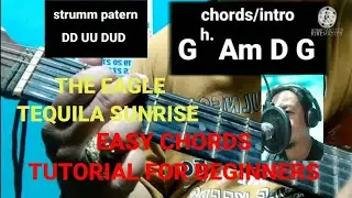 TEQUILA SUNRISE.BY.EAGLE.(EASY CHORDS FOR BEGINNER)#chordstutorial