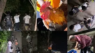Brothers on hunt #hunting #islandlife #viral #hunt #adventure #funnyvideos #villagelife #village