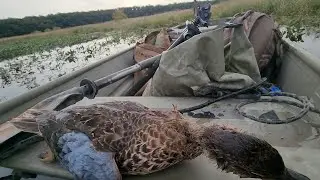Teal Hunting From My Mud Boat In A New Area!