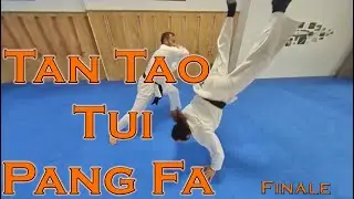 Sciabola contro Bastone corto - Finale - Tan Tao Tui Pang Fa - Kung Fu Chang