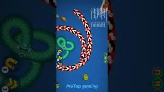 State Not Recognized #cacingbesar #wormszone #games #protapgaming #gaming #mobilegaming #gameplay