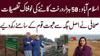 Islamabad Tree Cutting Destroys Capital Beauty Public Outcry to Save Green City | WAHJOC Environment