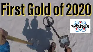 1-е Золотое кольцо 2020 года. Металлоискатель. TreasurePro Live Digs. Электроника Уайта Hexscoop Флорида