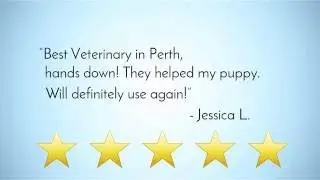 vet testimonial example