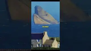 Shocking rare photos that will catch you off guard