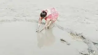 দিদার বাড়ীতে ঘেড়ি ছেচে পোচুর মাছ ধরলাম #minivlog #viralvideo