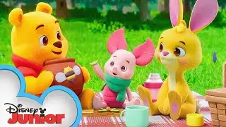 Playdate with Winnie the Pooh | Piglet, Rabbit and the Picnic | Episode 13 |@disneyjr