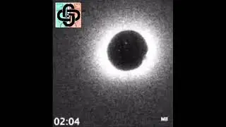Flash of light at the moment of conception