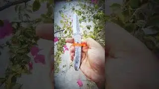 D2 Steel Handmade and Hand Engraved Folding Knife #knife #foldingknives #handmade #artandcraft