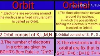 difference between orbit and orbital